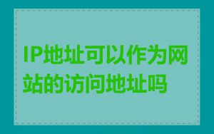 IP地址可以作为网站的访问地址吗