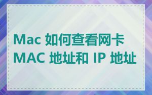 Mac 如何查看网卡 MAC 地址和 IP 地址