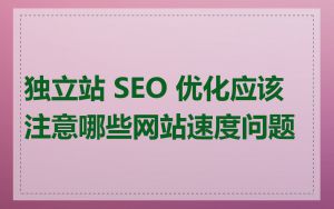 独立站 SEO 优化应该注意哪些网站速度问题