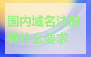 国内域名注册有什么要求