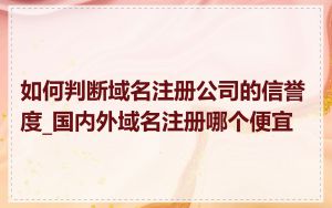 如何判断域名注册公司的信誉度_国内外域名注册哪个便宜