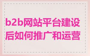 b2b网站平台建设后如何推广和运营