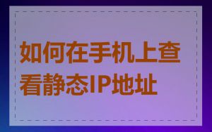 如何在手机上查看静态IP地址