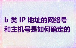 b 类 IP 地址的网络号和主机号是如何确定的
