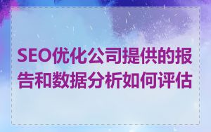 SEO优化公司提供的报告和数据分析如何评估