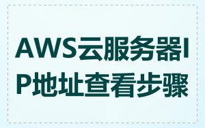AWS云服务器IP地址查看步骤