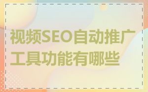 视频SEO自动推广工具功能有哪些