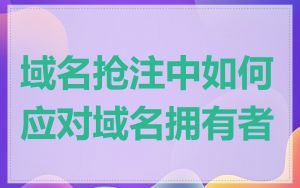 域名抢注中如何应对域名拥有者