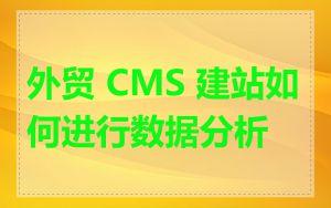 外贸 CMS 建站如何进行数据分析