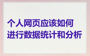个人网页应该如何进行数据统计和分析