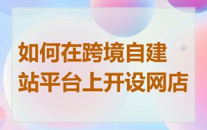 如何在跨境自建站平台上开设网店