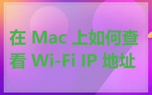 在 Mac 上如何查看 Wi-Fi IP 地址