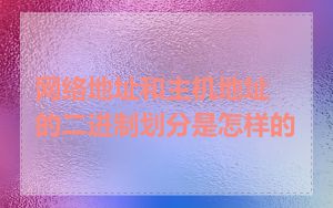 网络地址和主机地址的二进制划分是怎样的