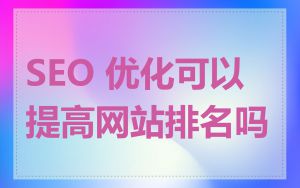 SEO 优化可以提高网站排名吗
