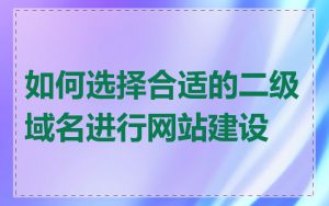 如何选择合适的二级域名进行网站建设