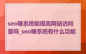 seo臻系统能提高网站访问量吗_seo臻系统有什么功能