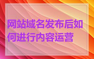 网站域名发布后如何进行内容运营