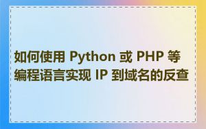 如何使用 Python 或 PHP 等编程语言实现 IP 到域名的反查