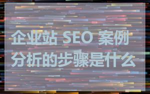 企业站 SEO 案例分析的步骤是什么