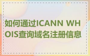 如何通过ICANN WHOIS查询域名注册信息