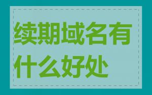 续期域名有什么好处