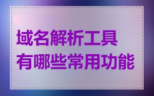 域名解析工具有哪些常用功能