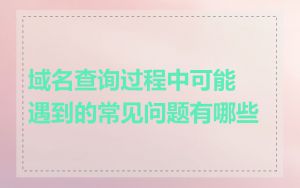 域名查询过程中可能遇到的常见问题有哪些
