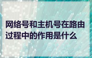 网络号和主机号在路由过程中的作用是什么