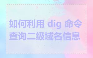 如何利用 dig 命令查询二级域名信息
