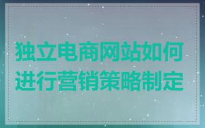 独立电商网站如何进行营销策略制定