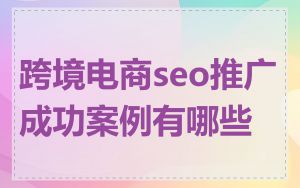 跨境电商seo推广成功案例有哪些