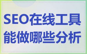 SEO在线工具能做哪些分析