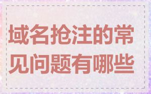 域名抢注的常见问题有哪些