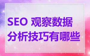 SEO 观察数据分析技巧有哪些