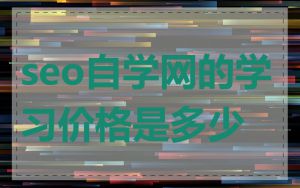 seo自学网的学习价格是多少