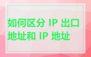 如何区分 IP 出口地址和 IP 地址