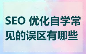 SEO 优化自学常见的误区有哪些