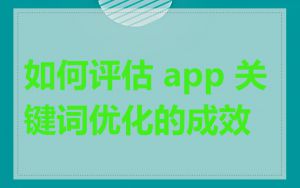 如何评估 app 关键词优化的成效