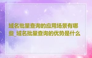 域名批量查询的应用场景有哪些_域名批量查询的优势是什么