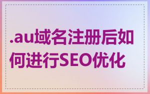 .au域名注册后如何进行SEO优化
