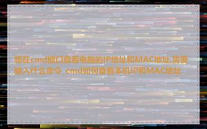 想在cmd窗口查看电脑的IP地址和MAC地址,需要输入什么命令_cmd如何查看本机IP和MAC地址
