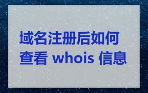域名注册后如何查看 whois 信息