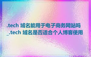 .tech 域名能用于电子商务网站吗_.tech 域名是否适合个人博客使用