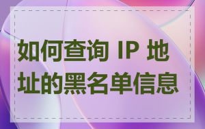 如何查询 IP 地址的黑名单信息