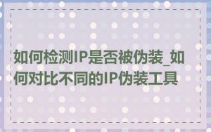 如何检测IP是否被伪装_如何对比不同的IP伪装工具