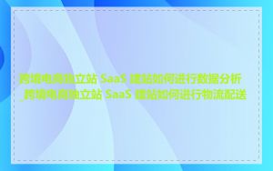 跨境电商独立站 SaaS 建站如何进行数据分析_跨境电商独立站 SaaS 建站如何进行物流配送