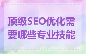 顶级SEO优化需要哪些专业技能