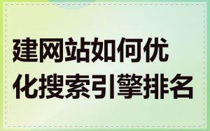 建网站如何优化搜索引擎排名