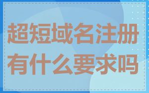 超短域名注册有什么要求吗