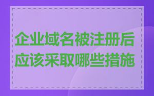 企业域名被注册后应该采取哪些措施